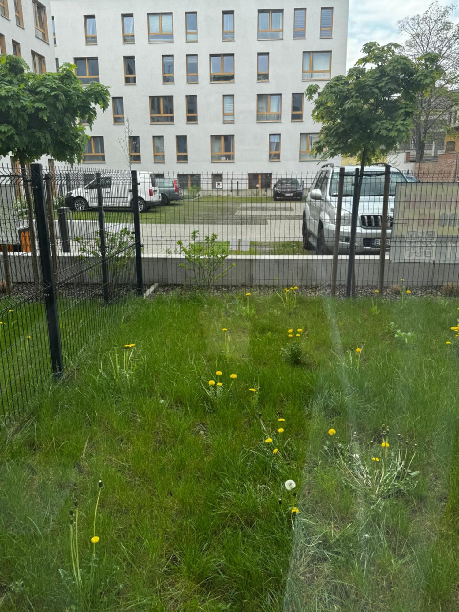 Platon Residence Apartments Lodz  Luaran gambar